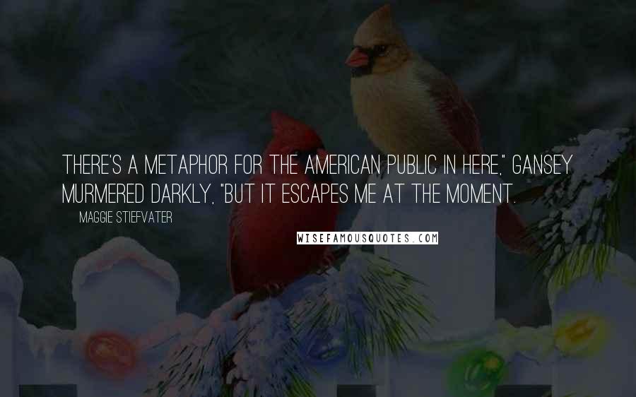 Maggie Stiefvater Quotes: There's a metaphor for the American public in here," Gansey murmered darkly, "but it escapes me at the moment.