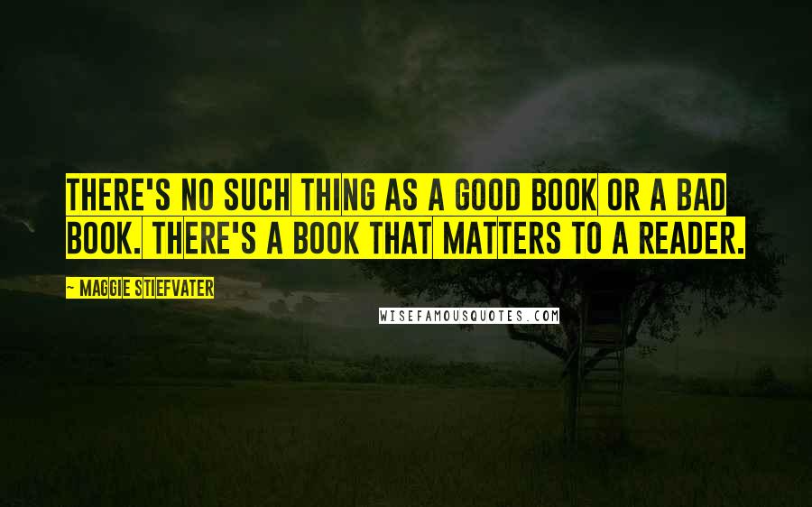 Maggie Stiefvater Quotes: There's no such thing as a good book or a bad book. There's a book that matters to a reader.