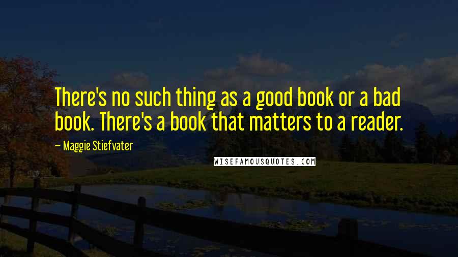 Maggie Stiefvater Quotes: There's no such thing as a good book or a bad book. There's a book that matters to a reader.