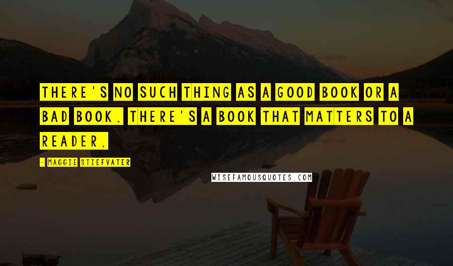 Maggie Stiefvater Quotes: There's no such thing as a good book or a bad book. There's a book that matters to a reader.