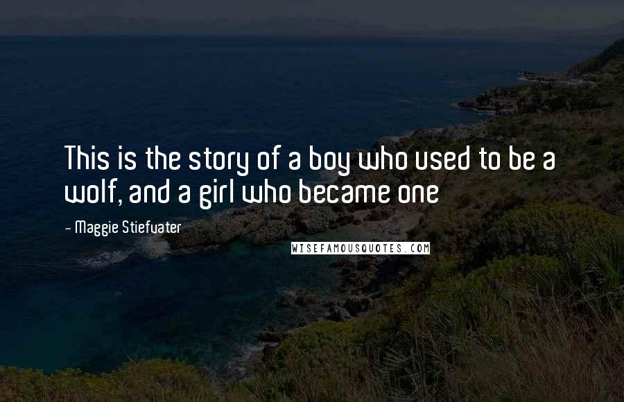 Maggie Stiefvater Quotes: This is the story of a boy who used to be a wolf, and a girl who became one