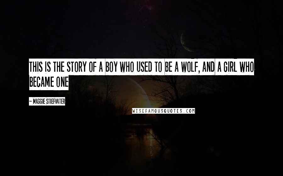 Maggie Stiefvater Quotes: This is the story of a boy who used to be a wolf, and a girl who became one