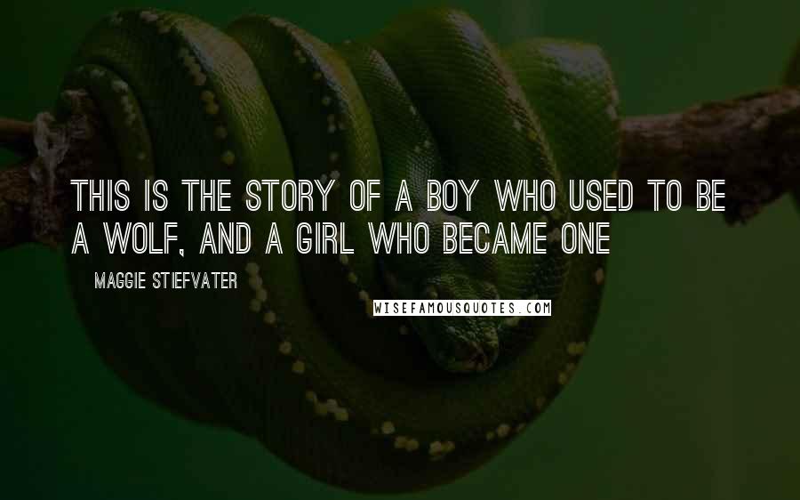 Maggie Stiefvater Quotes: This is the story of a boy who used to be a wolf, and a girl who became one