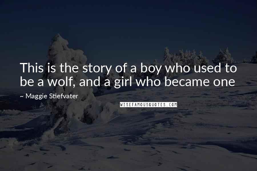 Maggie Stiefvater Quotes: This is the story of a boy who used to be a wolf, and a girl who became one