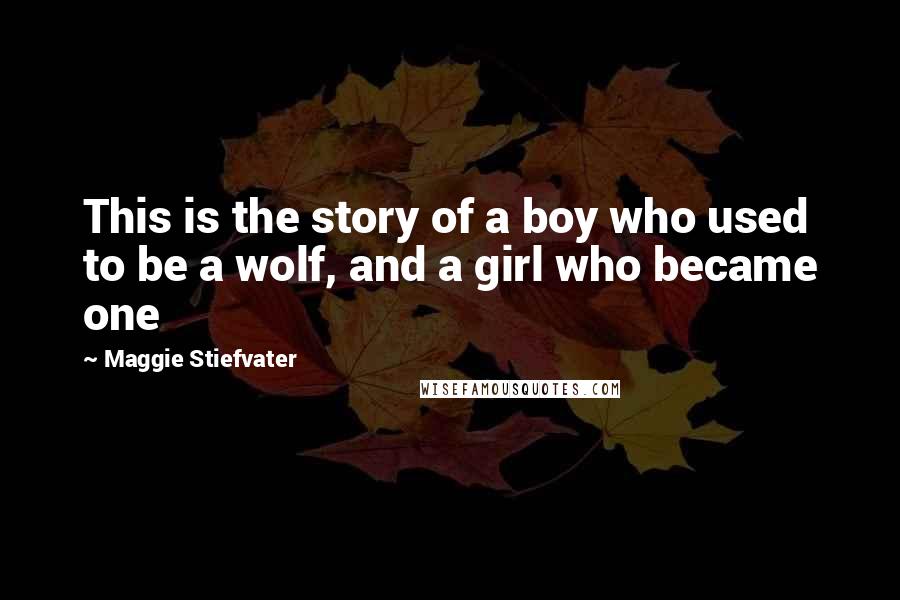 Maggie Stiefvater Quotes: This is the story of a boy who used to be a wolf, and a girl who became one