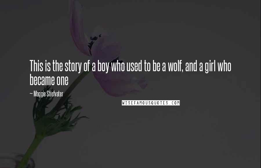 Maggie Stiefvater Quotes: This is the story of a boy who used to be a wolf, and a girl who became one