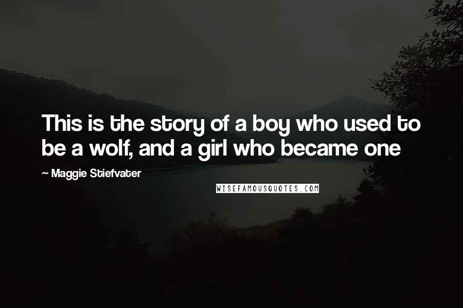 Maggie Stiefvater Quotes: This is the story of a boy who used to be a wolf, and a girl who became one