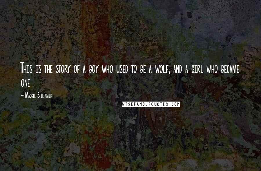 Maggie Stiefvater Quotes: This is the story of a boy who used to be a wolf, and a girl who became one