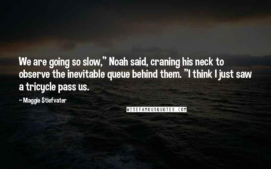 Maggie Stiefvater Quotes: We are going so slow," Noah said, craning his neck to observe the inevitable queue behind them. "I think I just saw a tricycle pass us.