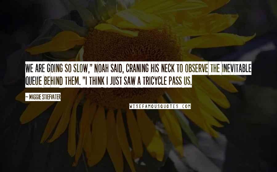 Maggie Stiefvater Quotes: We are going so slow," Noah said, craning his neck to observe the inevitable queue behind them. "I think I just saw a tricycle pass us.