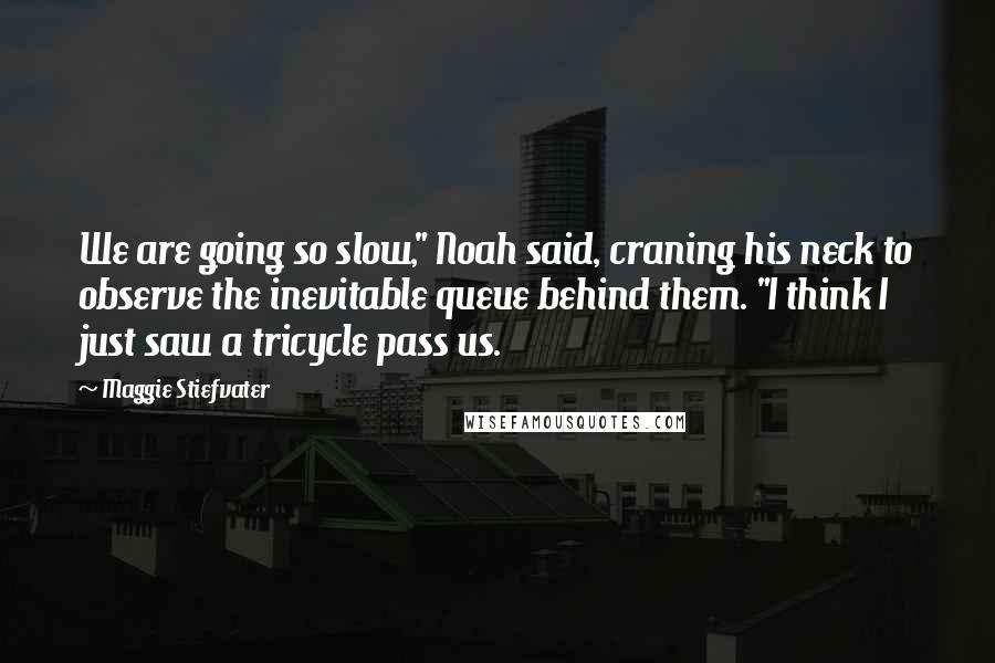 Maggie Stiefvater Quotes: We are going so slow," Noah said, craning his neck to observe the inevitable queue behind them. "I think I just saw a tricycle pass us.