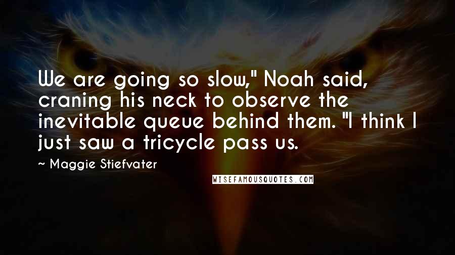 Maggie Stiefvater Quotes: We are going so slow," Noah said, craning his neck to observe the inevitable queue behind them. "I think I just saw a tricycle pass us.