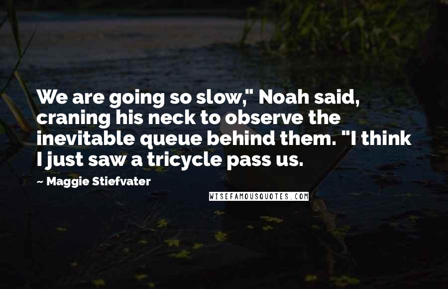 Maggie Stiefvater Quotes: We are going so slow," Noah said, craning his neck to observe the inevitable queue behind them. "I think I just saw a tricycle pass us.