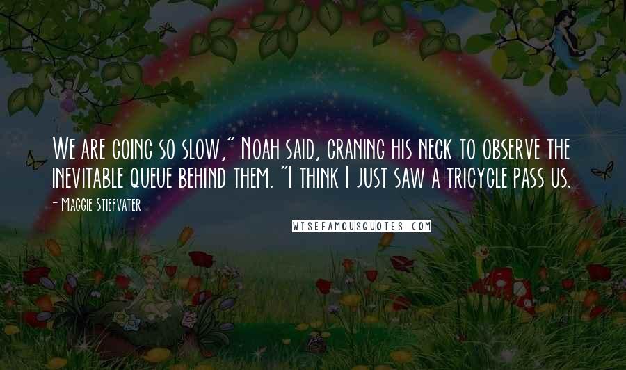 Maggie Stiefvater Quotes: We are going so slow," Noah said, craning his neck to observe the inevitable queue behind them. "I think I just saw a tricycle pass us.