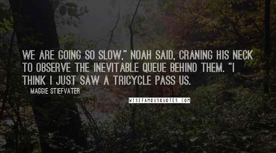 Maggie Stiefvater Quotes: We are going so slow," Noah said, craning his neck to observe the inevitable queue behind them. "I think I just saw a tricycle pass us.