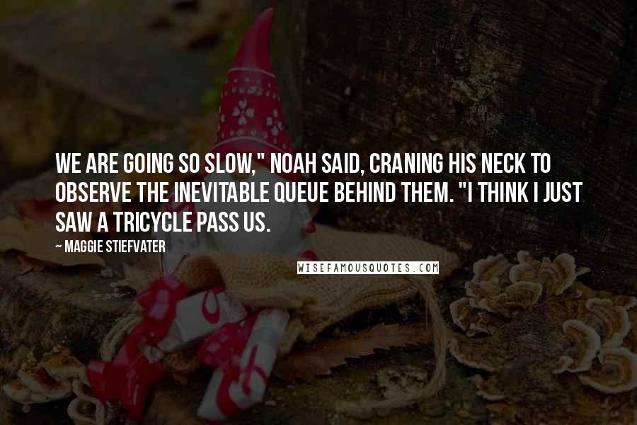 Maggie Stiefvater Quotes: We are going so slow," Noah said, craning his neck to observe the inevitable queue behind them. "I think I just saw a tricycle pass us.