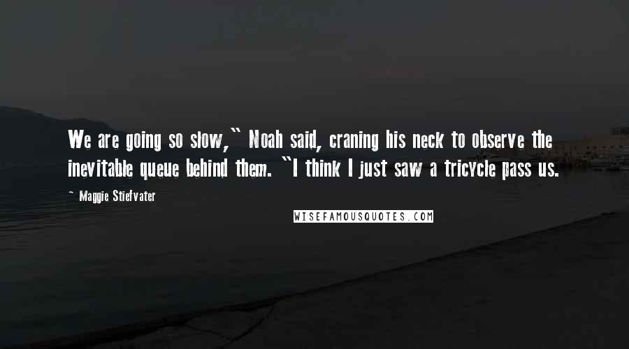 Maggie Stiefvater Quotes: We are going so slow," Noah said, craning his neck to observe the inevitable queue behind them. "I think I just saw a tricycle pass us.