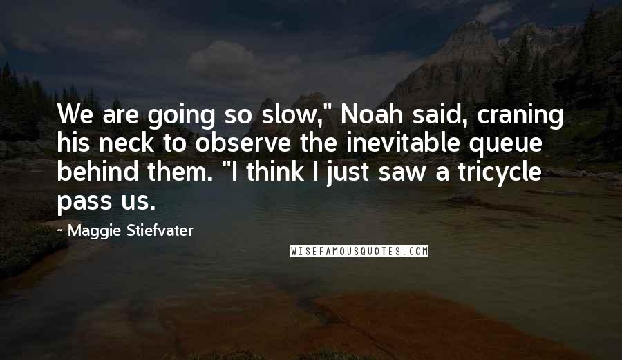 Maggie Stiefvater Quotes: We are going so slow," Noah said, craning his neck to observe the inevitable queue behind them. "I think I just saw a tricycle pass us.