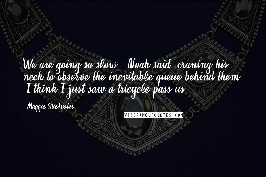 Maggie Stiefvater Quotes: We are going so slow," Noah said, craning his neck to observe the inevitable queue behind them. "I think I just saw a tricycle pass us.