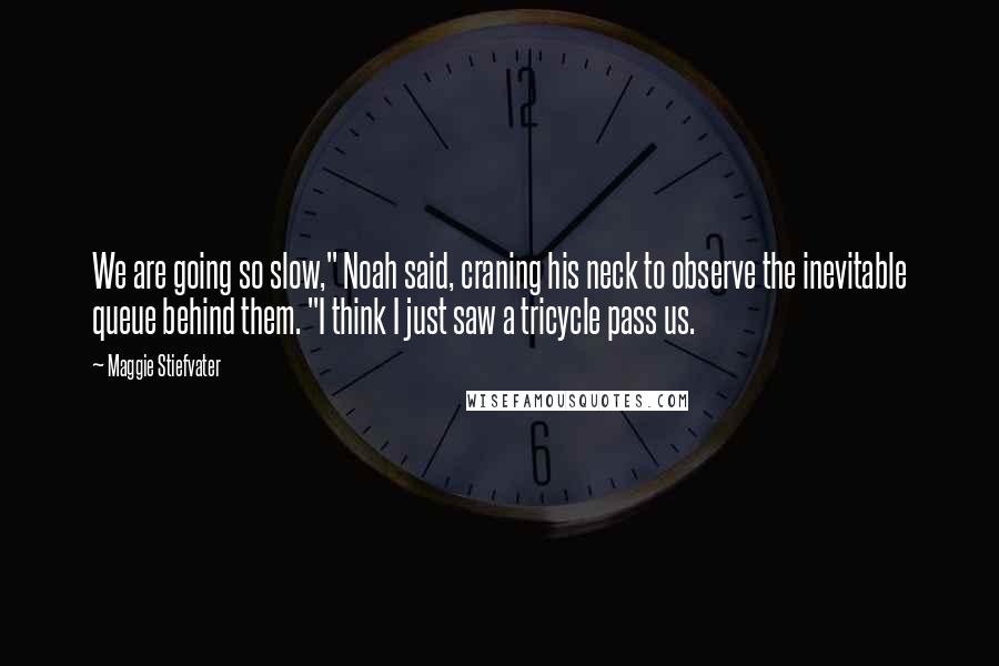 Maggie Stiefvater Quotes: We are going so slow," Noah said, craning his neck to observe the inevitable queue behind them. "I think I just saw a tricycle pass us.