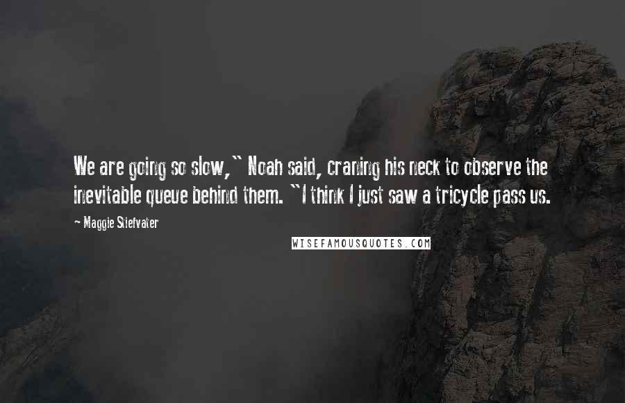 Maggie Stiefvater Quotes: We are going so slow," Noah said, craning his neck to observe the inevitable queue behind them. "I think I just saw a tricycle pass us.