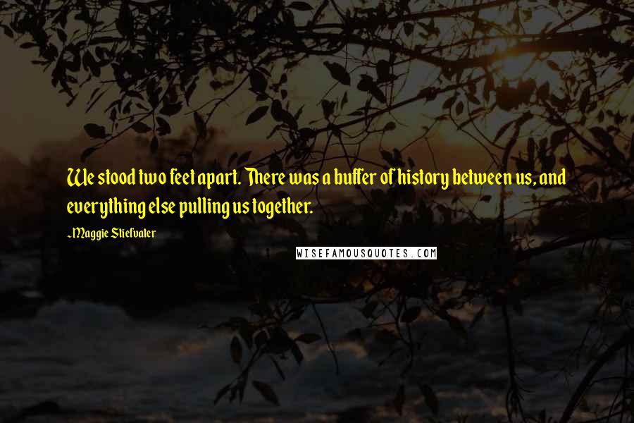 Maggie Stiefvater Quotes: We stood two feet apart. There was a buffer of history between us, and everything else pulling us together.