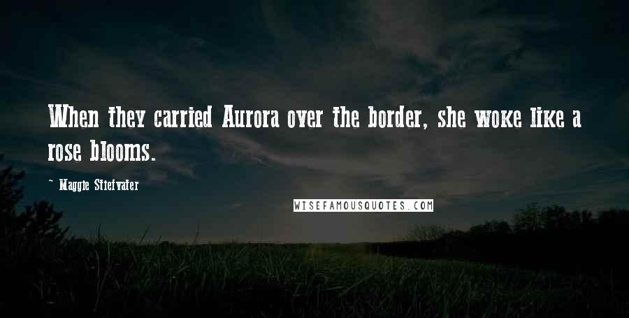 Maggie Stiefvater Quotes: When they carried Aurora over the border, she woke like a rose blooms.