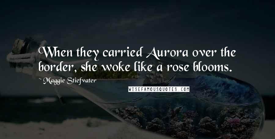 Maggie Stiefvater Quotes: When they carried Aurora over the border, she woke like a rose blooms.