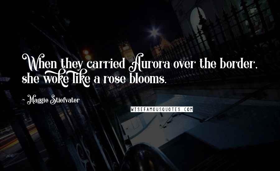 Maggie Stiefvater Quotes: When they carried Aurora over the border, she woke like a rose blooms.