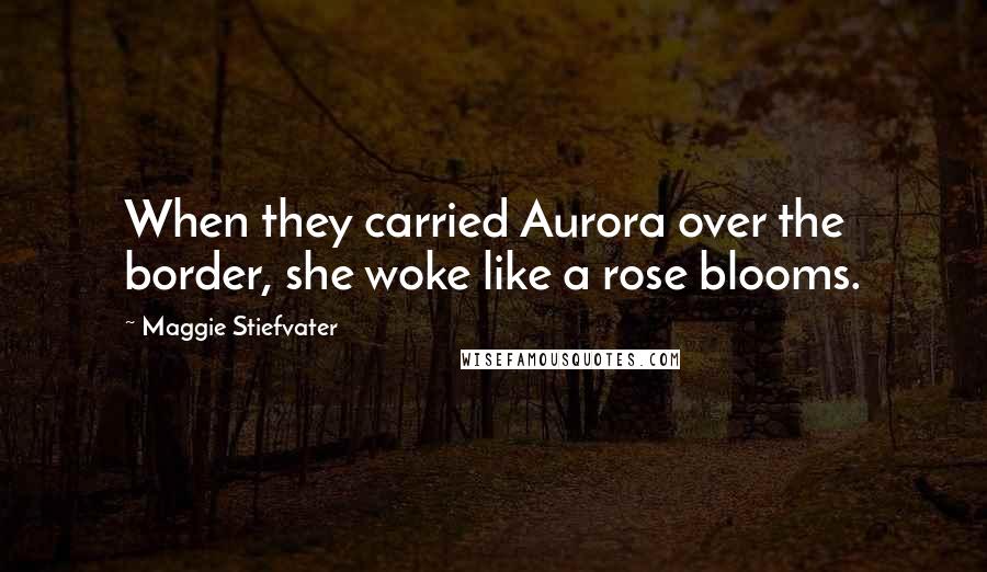 Maggie Stiefvater Quotes: When they carried Aurora over the border, she woke like a rose blooms.