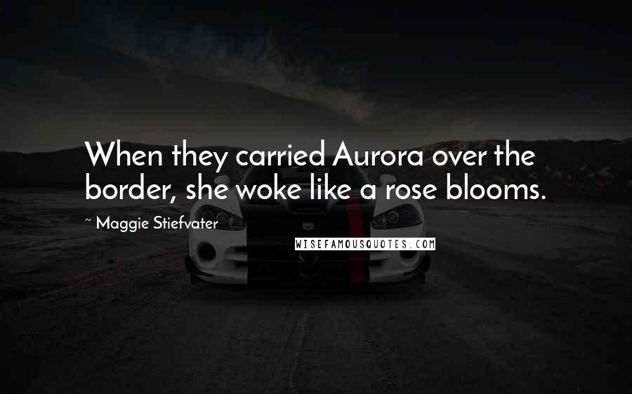 Maggie Stiefvater Quotes: When they carried Aurora over the border, she woke like a rose blooms.