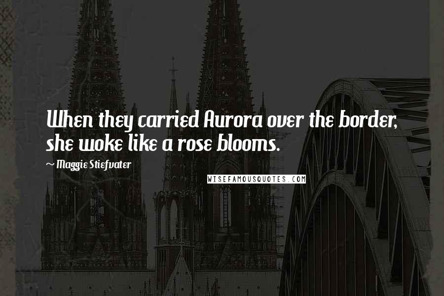 Maggie Stiefvater Quotes: When they carried Aurora over the border, she woke like a rose blooms.