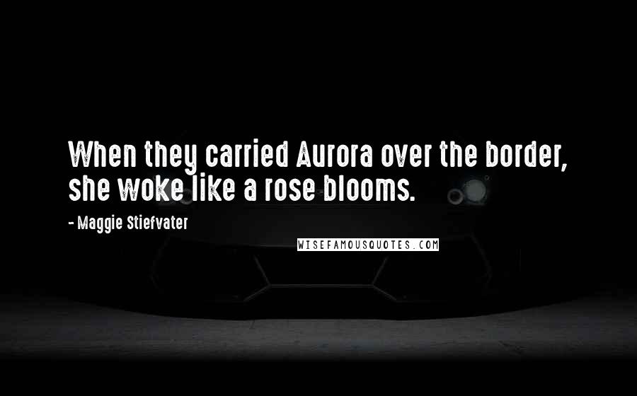 Maggie Stiefvater Quotes: When they carried Aurora over the border, she woke like a rose blooms.