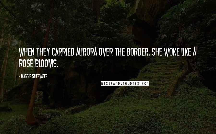 Maggie Stiefvater Quotes: When they carried Aurora over the border, she woke like a rose blooms.