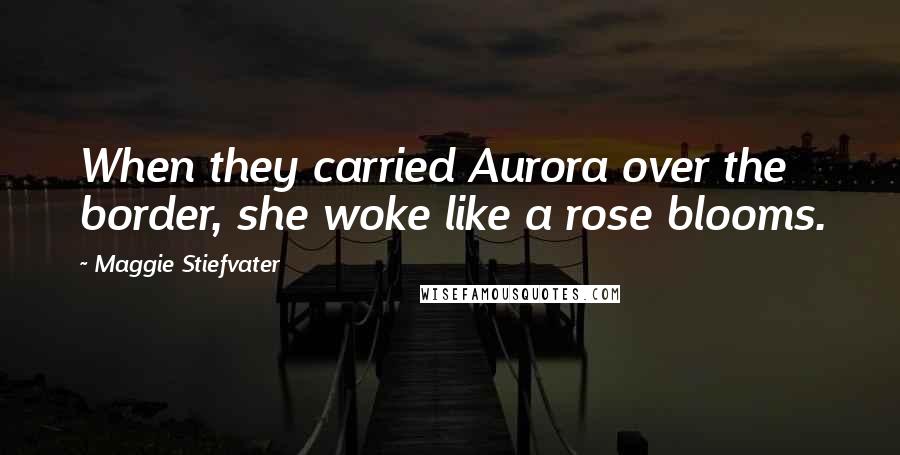 Maggie Stiefvater Quotes: When they carried Aurora over the border, she woke like a rose blooms.