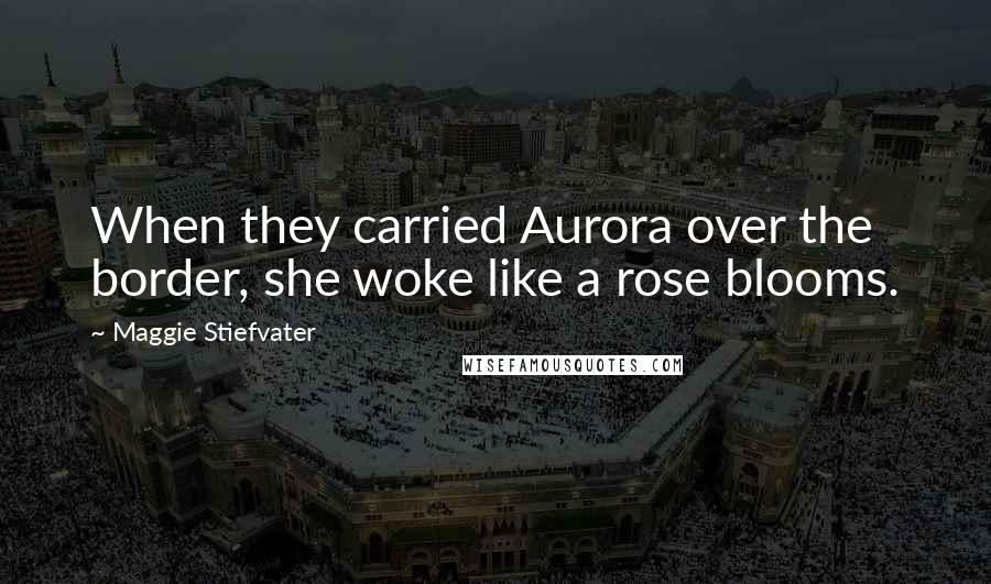 Maggie Stiefvater Quotes: When they carried Aurora over the border, she woke like a rose blooms.