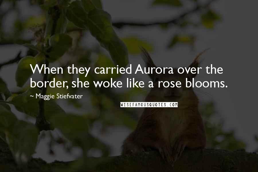 Maggie Stiefvater Quotes: When they carried Aurora over the border, she woke like a rose blooms.