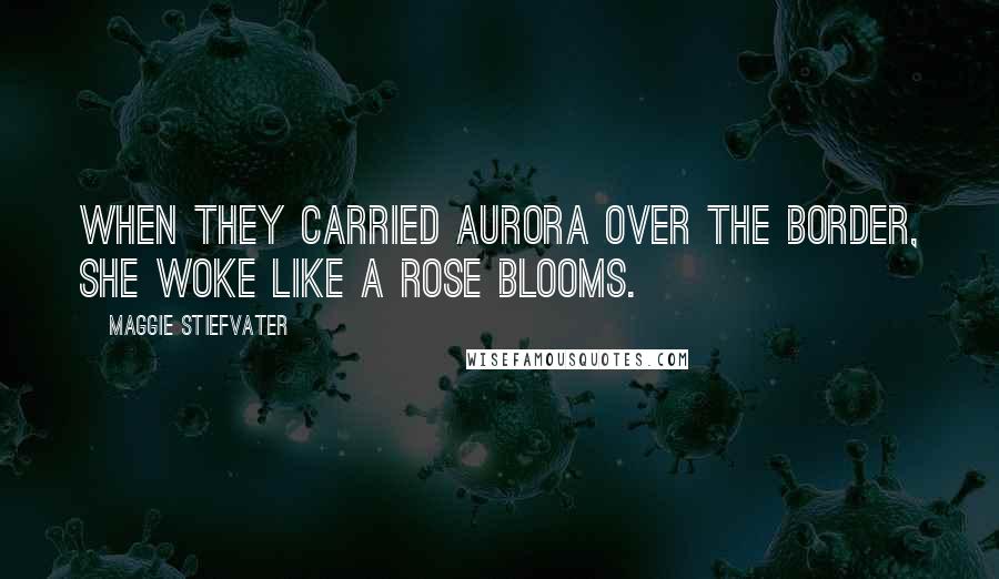 Maggie Stiefvater Quotes: When they carried Aurora over the border, she woke like a rose blooms.