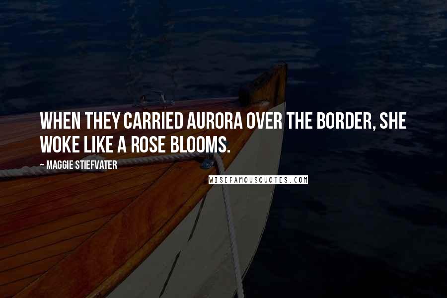 Maggie Stiefvater Quotes: When they carried Aurora over the border, she woke like a rose blooms.