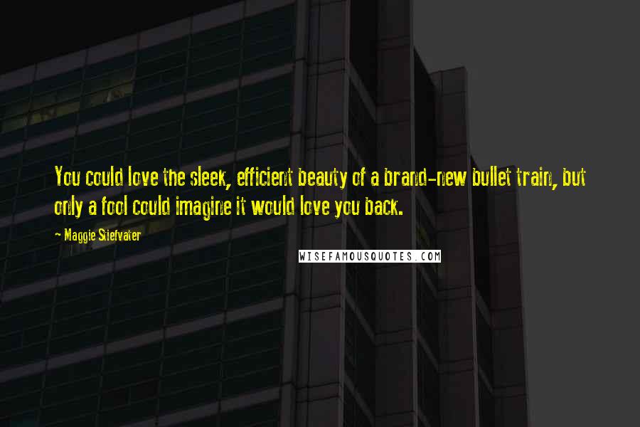 Maggie Stiefvater Quotes: You could love the sleek, efficient beauty of a brand-new bullet train, but only a fool could imagine it would love you back.