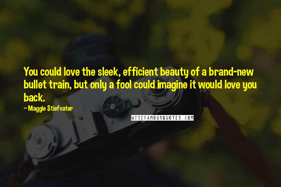 Maggie Stiefvater Quotes: You could love the sleek, efficient beauty of a brand-new bullet train, but only a fool could imagine it would love you back.