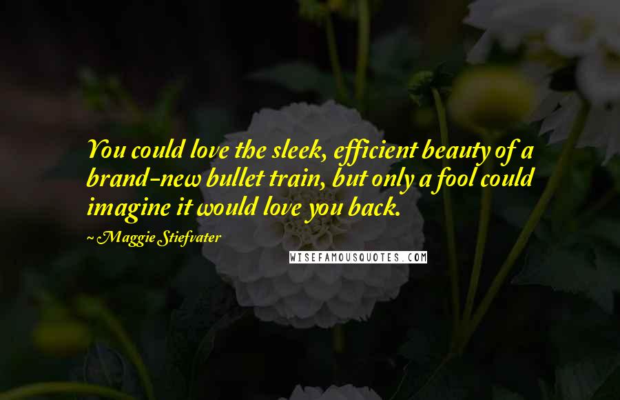 Maggie Stiefvater Quotes: You could love the sleek, efficient beauty of a brand-new bullet train, but only a fool could imagine it would love you back.