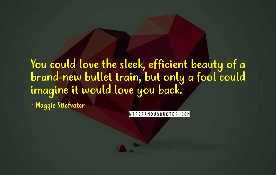 Maggie Stiefvater Quotes: You could love the sleek, efficient beauty of a brand-new bullet train, but only a fool could imagine it would love you back.