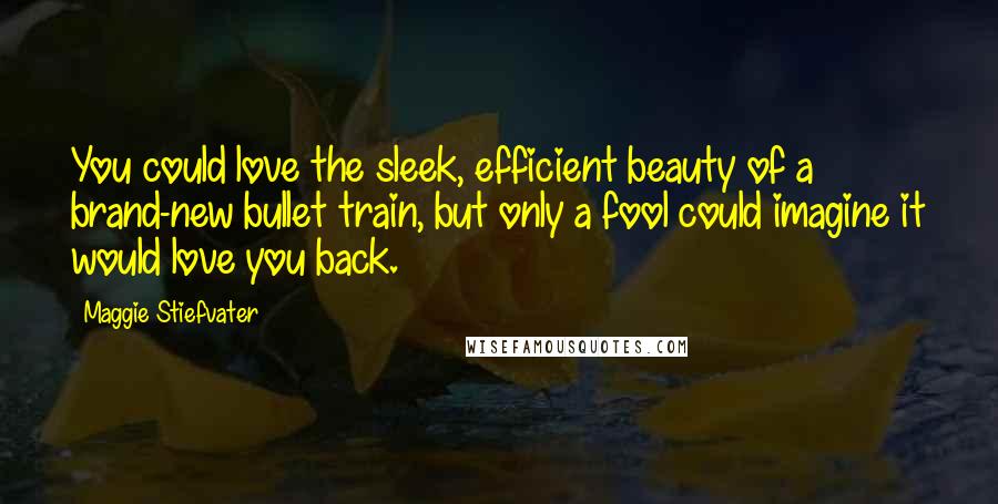 Maggie Stiefvater Quotes: You could love the sleek, efficient beauty of a brand-new bullet train, but only a fool could imagine it would love you back.