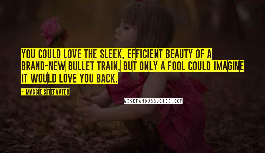 Maggie Stiefvater Quotes: You could love the sleek, efficient beauty of a brand-new bullet train, but only a fool could imagine it would love you back.