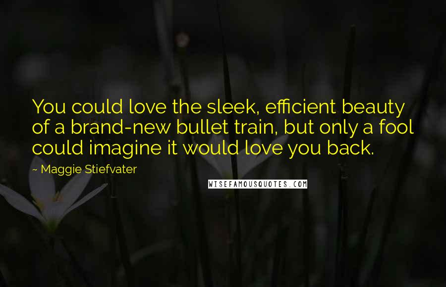 Maggie Stiefvater Quotes: You could love the sleek, efficient beauty of a brand-new bullet train, but only a fool could imagine it would love you back.