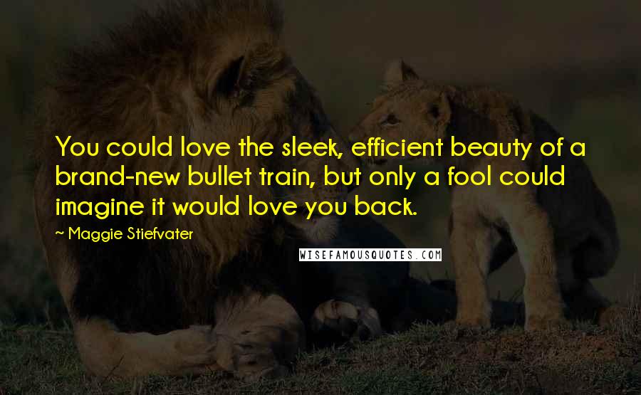 Maggie Stiefvater Quotes: You could love the sleek, efficient beauty of a brand-new bullet train, but only a fool could imagine it would love you back.