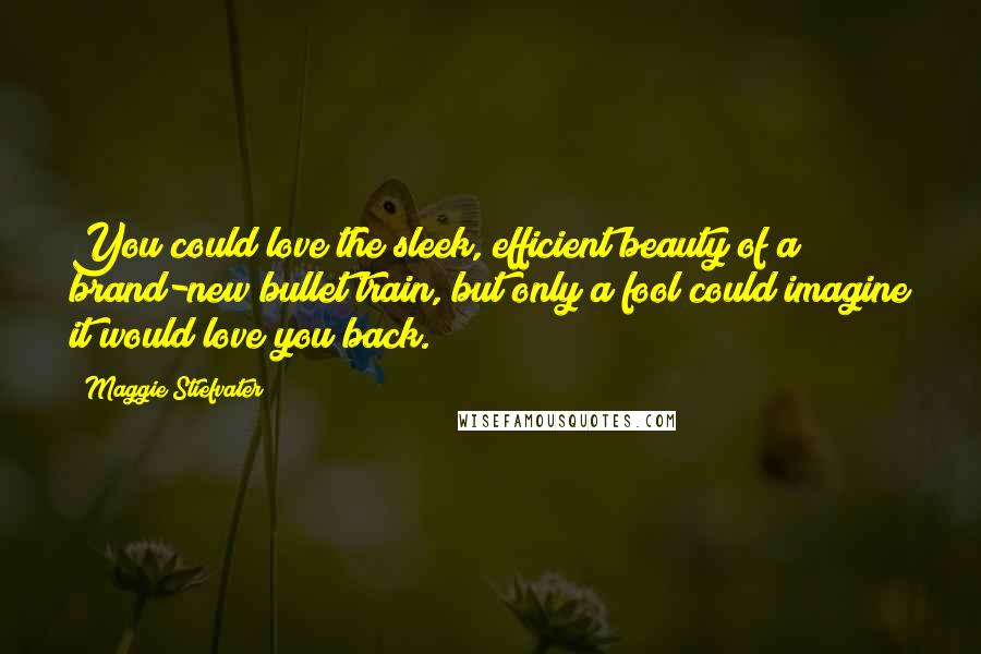 Maggie Stiefvater Quotes: You could love the sleek, efficient beauty of a brand-new bullet train, but only a fool could imagine it would love you back.