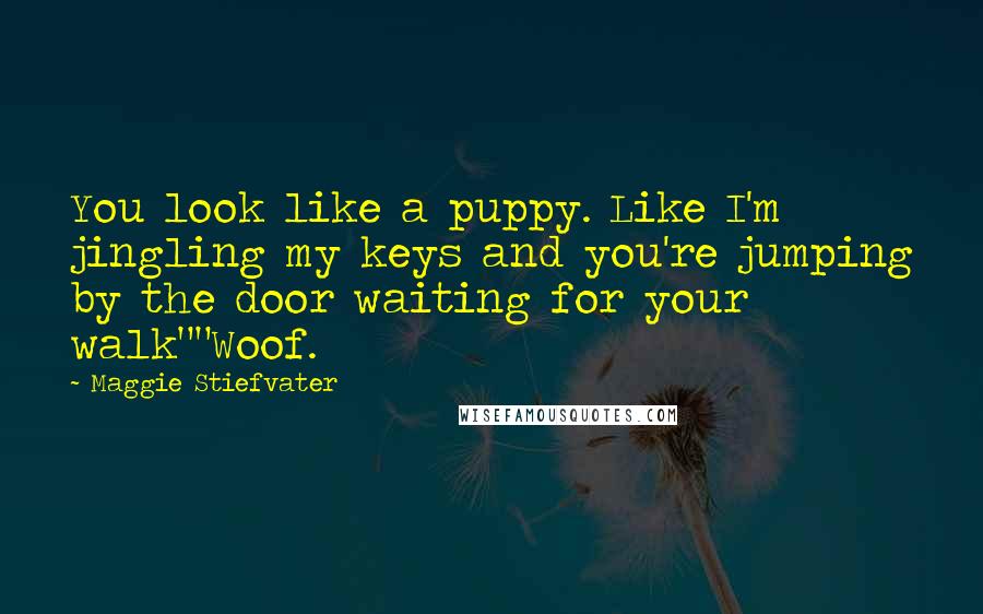 Maggie Stiefvater Quotes: You look like a puppy. Like I'm jingling my keys and you're jumping by the door waiting for your walk""Woof.