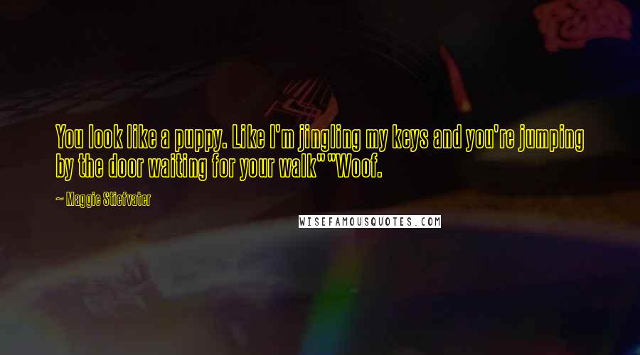 Maggie Stiefvater Quotes: You look like a puppy. Like I'm jingling my keys and you're jumping by the door waiting for your walk""Woof.